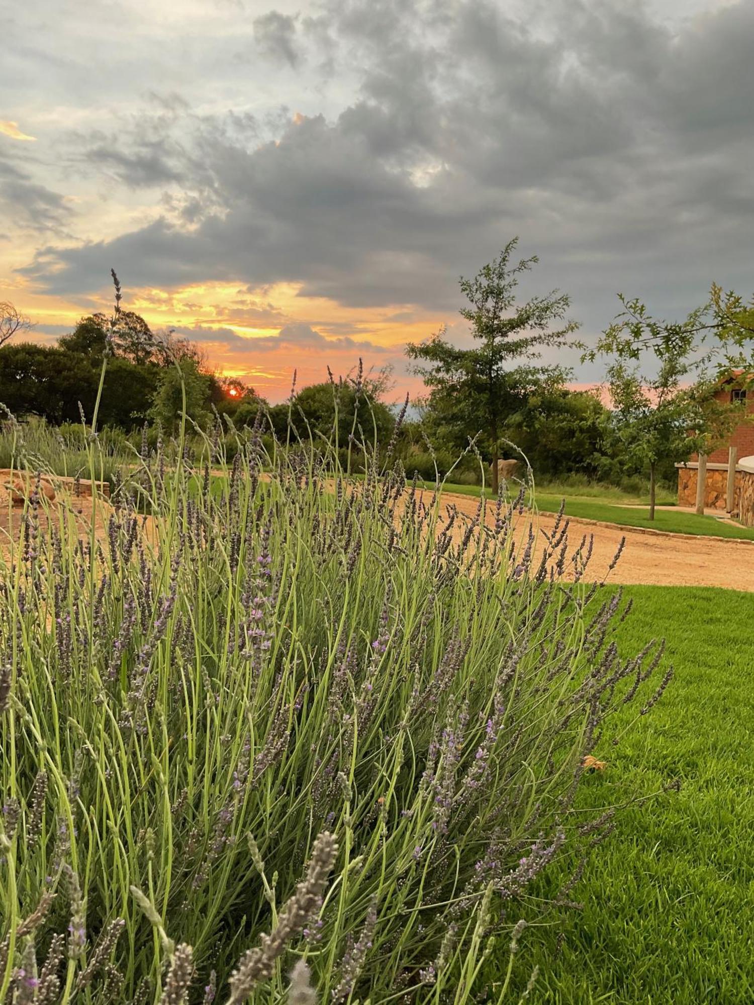 Вилла Mount High Luxury Country Estate Машишинг Экстерьер фото